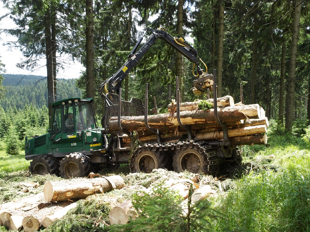 Kurzholz-Rückung Forstservice Bauer GmbH Forstbetrieb